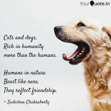 Friendship is a relationship that we get to choose. Cats And Dogs Rich In Hu Quotes Writings By Sudeshna Chakraborty Yourquote