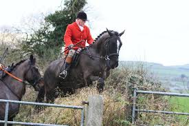 PICTURE DESK: Out and about 23 February 2024 Free