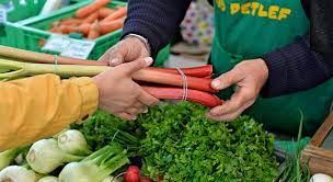 Saisonales obst wie äpfel aus dem alten land hamburg, der streuobstwiese oder seltene. Saisonal Und Regional Der Nachhaltige Warenkorb