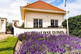 Genieten van het natuurschoon, de ruimte en de rust. Topparken Noordwijkse Duinen Urlaub Mit Hund Noordwijk Niederlande Noordwijk Zuid Holland Tipp