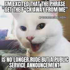 Pin By Vazij On Two Women Yelling At A Cat Meme 2020 Funny Cat Memes Funny Memes Funny Cartoons