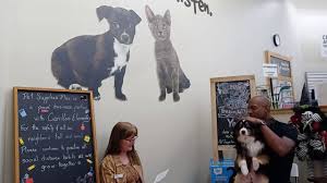 Natural pet food, flea and tick, dog supplements, cat supplements and homeopathic remedies for dogs and cats, expert articles and information on holistic pet care. Get To Know Keith Bogans Retired Nba Player And Owner Of Pet Supplies Plus In Oviedo Florida Parkbench