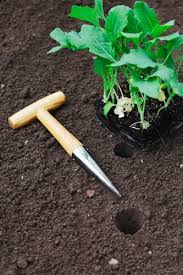 We did not find results for: Special Tools For The Specialist Gardener Caerphilly Garden Centre Cardiff