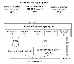 Camel Milk Processing Company Profile The Flowchart Shows