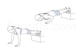 What are decline push ups? Decline Push Up Illustrated Exercise Guide