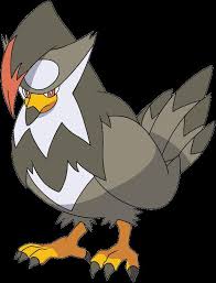 Staraptor (Pokémon Go) - Best Moveset, Weakness, Counters, Shiny