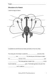 Plant Reproduction Worksheet Biology Worksheet Fun Science Worksheets 4th Grade Science