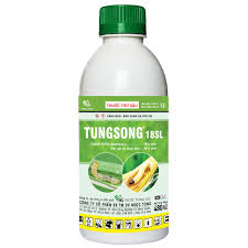 Tungsong 18SL