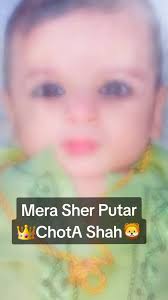 Lo G choTa Shah B Viral kar diya tik tok walo Na🦁💪😘#foryoupage #foryou  #fyp #nikoshah