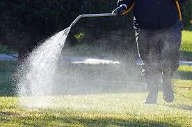 Seeking a company the provides aeration along with yard work, mowing and cheap lawn care service around dallas, tx. Lawn Care Service Yard Maintenance Management Programs Lawn Connections Llc