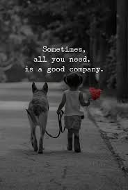 Sometimes All You Need Is A Good Company Holiday Quotes Funny Dog Quotes Love Inspiring Quotes About Life