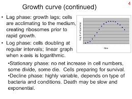 1 Bacterial Growth Defined Since Individual Cells Double In Size Then Divide Into Two The Meaningful Increase Is In The Population Size Binary Fission Ppt Download