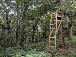 Sep 30, 2019 · the treated 2x4's will run the entire height of the stand. Diy Deer Hunter Build A Wooden Ladder Stand