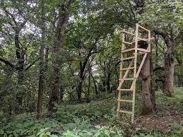 Shop our selection of hunting knives and hunting spears. Diy Deer Hunter Build A Wooden Ladder Stand