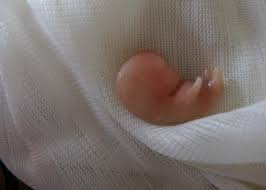 Pin On Angel Baby