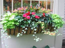 Summer shade flowers for pots. One Of My Summer Window Boxes Window Boxes Window Box Plants Window Planters