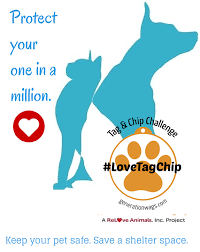 We would like to show you a description here but the site won't allow us. Lost Pet Pages For Posting Generation Wags