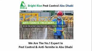 We provide what your home needs believing that pesky pests are not allowed at your venue, we are providing pest control services all over dubai in order to assist you in getting rid of them. Bright Rise Pest Control Anti Termite Cleaning Home Facebook