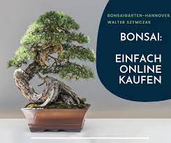 Bonsaigarten baumeister 71665 vaihingen an der enz. Bonsaigarten Hannover Posts Facebook