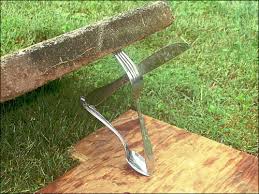 Image result for deadfall trap