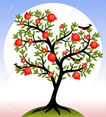 All the best fruit tree drawing 37+ collected on this page. Fruit Tree Pomegranate Tree With Fruits And Flowers Birds On The Tree Vector Illustration Stock Vector 70556255 Pomegranate Tree Tree Vector Fruit Trees