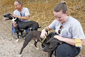 We did not find results for: 13 Local Ways To Volunteer With Your Family To Do Tucson Com