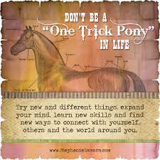 Don T Be A One Trick Pony In Life Huffpost Life