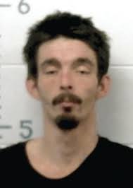 Man pleads guilty to arson