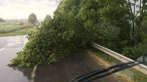 Hier haben jung und alt ihren spaß! Unwetter Uber Kummersbruck Freiwillige Feuerwehr Haselmuhl