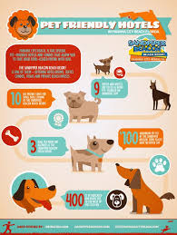 Pet Friendly Hotels In Panama City Beach Fl