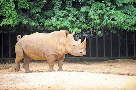 The latest tweets from zoo melaka dan taman burung (@zoomelaka): Melaka Zoo Tickets Price 2021 Online Discounts Promo