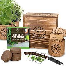These Indoor Gardens Can Help You Grow Fresh Produce Without Leaving The Home