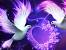 Love Flower Images Download