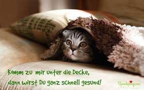 17 Gute Besserung Wunsche Bilder Spruche Videos Spruche Zitate Gifs Bilder Äußerst günstig und einfach in der bedienung. 17 gute besserung wunsche bilder