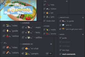 Erisly is a goddess who plays as a fun discord bot with various features such as cleverbot, a global economy, nsfw commands, meme generators, customizable prefixes for every server and more! Discord Bots Pfp Anime Shefalitayal