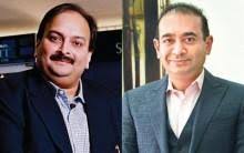 Advocate, gujarat high court member: Ckbffrujzfyiqm