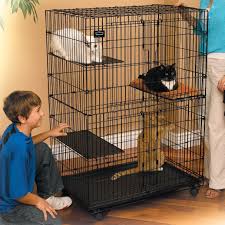 It is 2m long and 1m high and 1m wide. Indoor Cat Cages Ideas On Foter