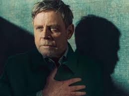 AFL: Suns coach Stuart Dew backs Sam Collins