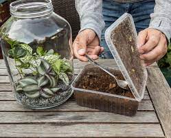 Ein garten im glas (auch flaschengarten genannt) ist ein hingucker in jeder wohnung. Flaschengarten Anlegen So Geht S Mein Schoner Garten
