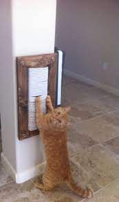 Home Made Cat Scratchers For Your Loved Ones Cat Scratching Post Cat Scratcher Cat Diy