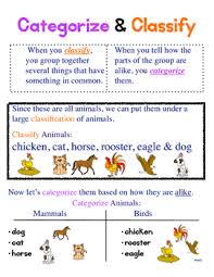 Categorize Classify Anchor Chart