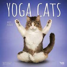 We did not find results for: Yoga Cats Joga Katzen 2019 18 Monatskalender Wall Kalender Browntrout Publisher Amazon De Burobedarf Schreibwaren