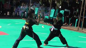 Dia seorang gadis cantik dan kaya. 8 Teknik Dasar Pencak Silat Olahraga Bela Diri Asli Indonesia