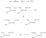 Image result for hydroxyl radical