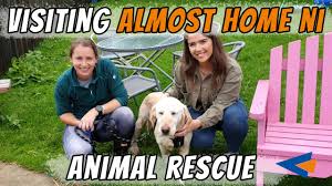 Hours may change under current circumstances Visiting Almost Home Ni Animal Rescue Come With Us Dog Vlog Youtube
