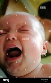 Fussy hi-res stock photography and images