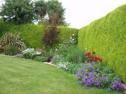 Pin On Garden