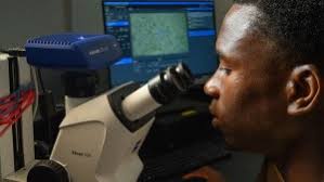 Summer of Scholarship