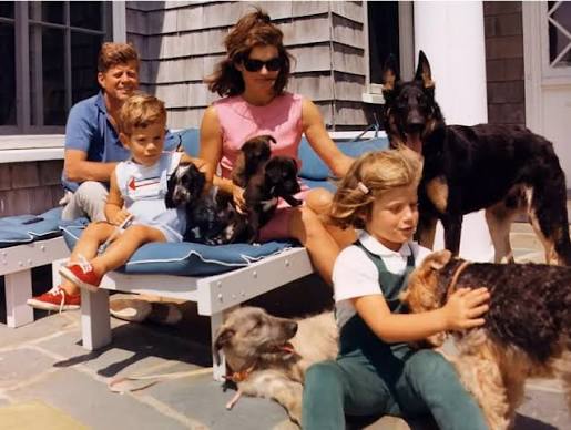 In June 1961, a small white puppy arrived at the White House carrying her  own passport and a story so extraordinary that even the most seasoned  Washington insiders had to stop and