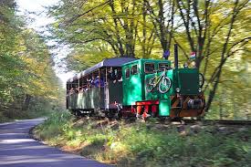 Így egyértelmű, hogy az előterjesztésben szereplő 12. Mar Jar Az Orszag Leghosszabb Hegyi Erdei Kisvasutja Budapest Hungary Hungary Trip